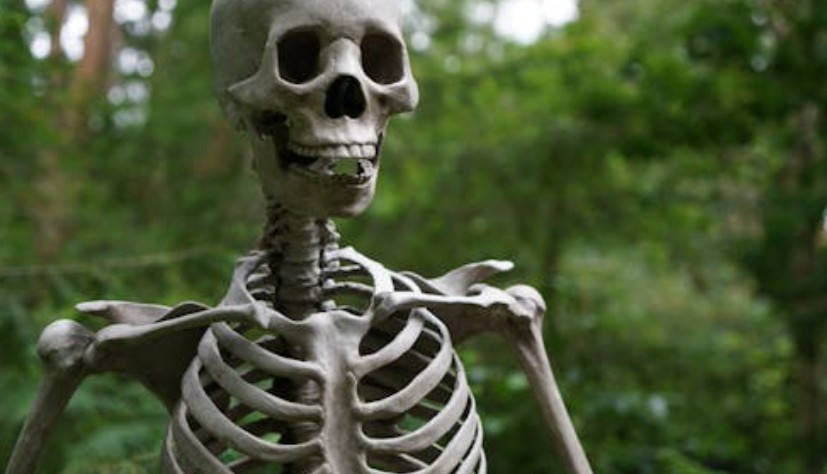 【夢占い】見知らぬ人を殺す夢の8つの解釈