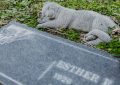 【夢占い】親しい友人を殺す夢の9つの解釈