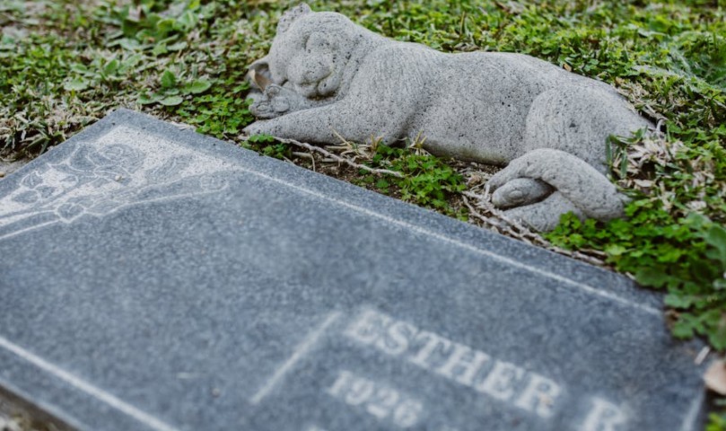 【夢占い】親しい友人を殺す夢の9つの解釈
