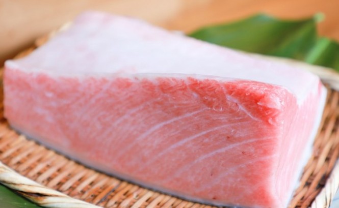 【夢占い】マグロの刺身の夢の9つの解釈