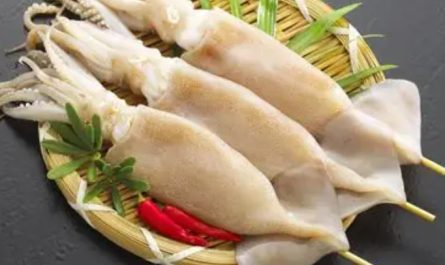 【夢占い】イカの刺身を食べる夢の9つの解釈