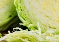 【夢占い】キャベツを植える夢の9つの解釈