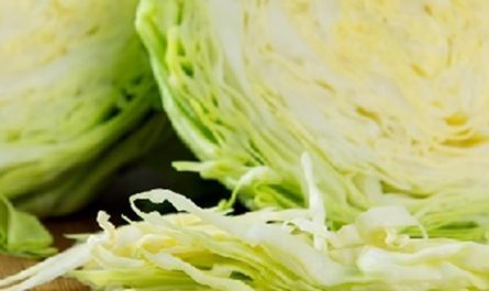 【夢占い】キャベツを植える夢の9つの解釈