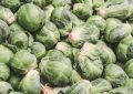 【夢占い】キャベツを摘む夢の9つの解釈