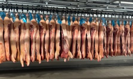 【夢占い】死体の夢の25の解釈