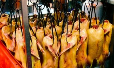 【夢占い】アヒル肉を食べる夢が持つ9つの意味